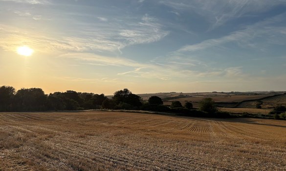 The solar eclipse taken on a farm. 